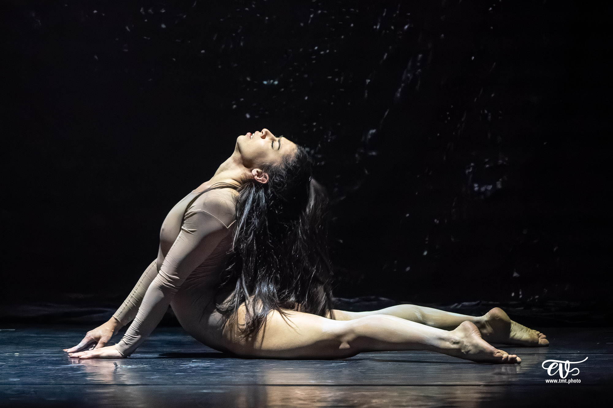 PARADISUM (CIE RECIRQUEL)